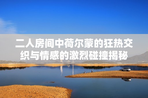 二人房间中荷尔蒙的狂热交织与情感的激烈碰撞揭秘
