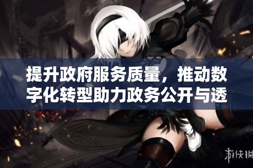 提升政府服务质量，推动数字化转型助力政务公开与透明化