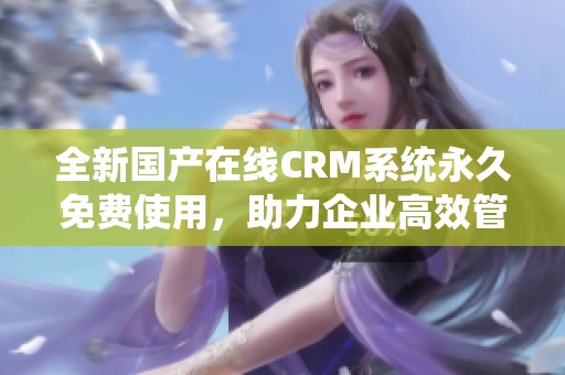 全新国产在线CRM系统永久免费使用，助力企业高效管理客户关系