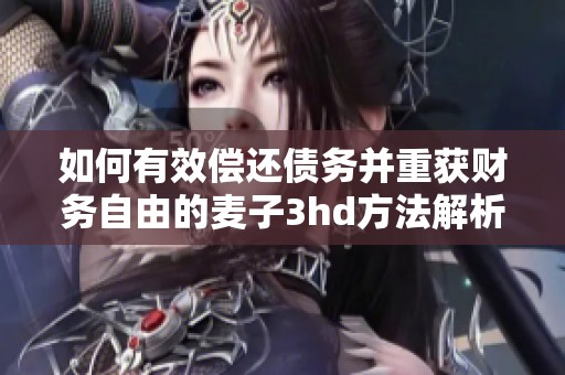 如何有效偿还债务并重获财务自由的麦子3hd方法解析