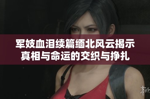 军妓血泪续篇缅北风云揭示真相与命运的交织与挣扎