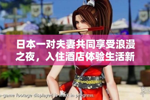日本一对夫妻共同享受浪漫之夜，入住酒店体验生活新篇章