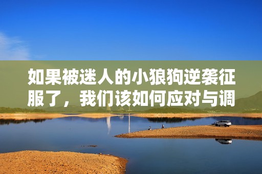 如果被迷人的小狼狗逆袭征服了，我们该如何应对与调整心态呢