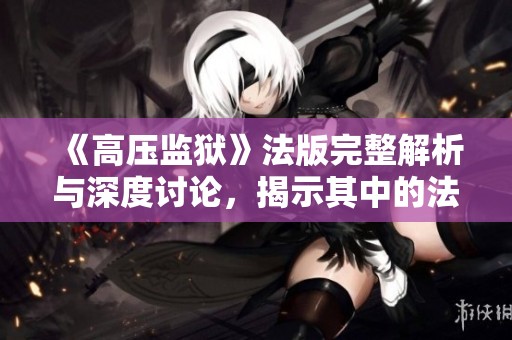 《高压监狱》法版完整解析与深度讨论，揭示其中的法律与伦理复杂性