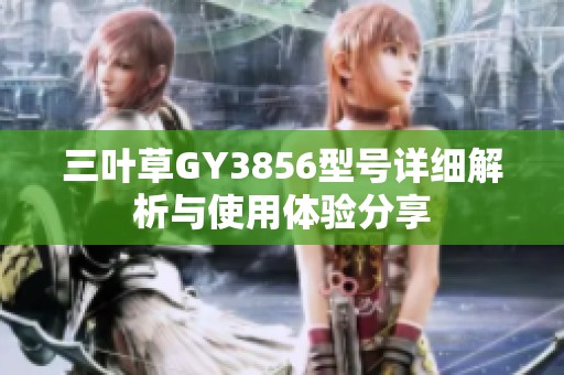三叶草GY3856型号详细解析与使用体验分享