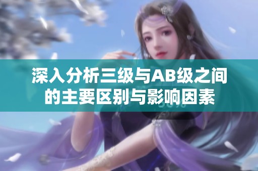 深入分析三级与AB级之间的主要区别与影响因素