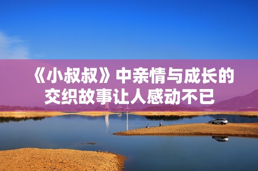《小叔叔》中亲情与成长的交织故事让人感动不已