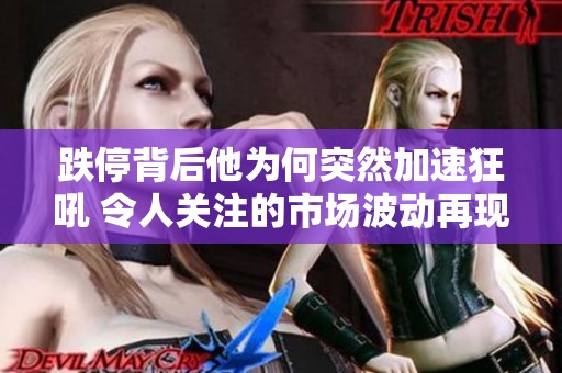 跌停背后他为何突然加速狂吼 令人关注的市场波动再现