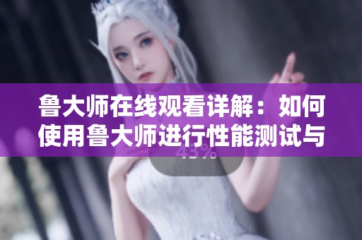 鲁大师在线观看详解：如何使用鲁大师进行性能测试与评估的完整指南