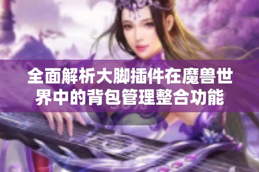 全面解析大脚插件在魔兽世界中的背包管理整合功能