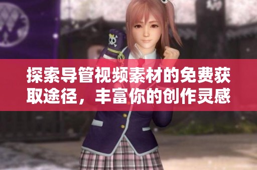 探索导管视频素材的免费获取途径，丰富你的创作灵感和资源库