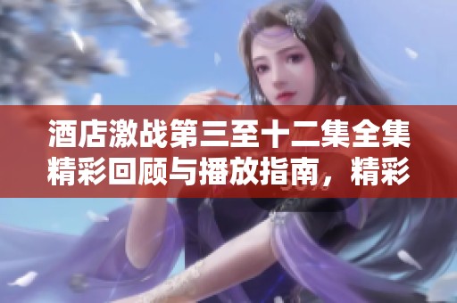 酒店激战第三至十二集全集精彩回顾与播放指南，精彩不容错过