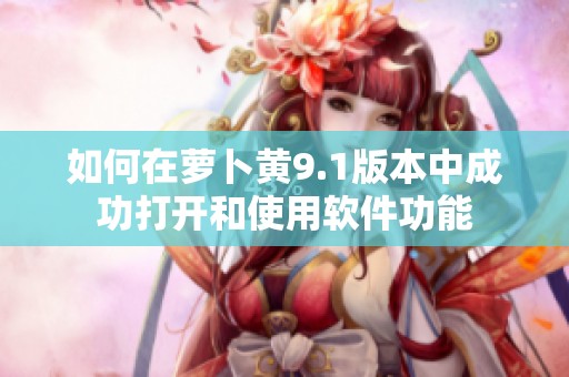 如何在萝卜黄9.1版本中成功打开和使用软件功能