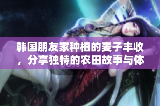 韩国朋友家种植的麦子丰收，分享独特的农田故事与体验