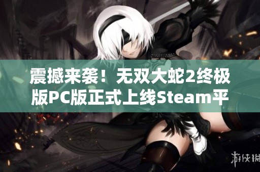 震撼来袭！无双大蛇2终极版PC版正式上线Steam平台中文版