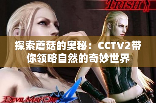 探索蘑菇的奥秘：CCTV2带你领略自然的奇妙世界