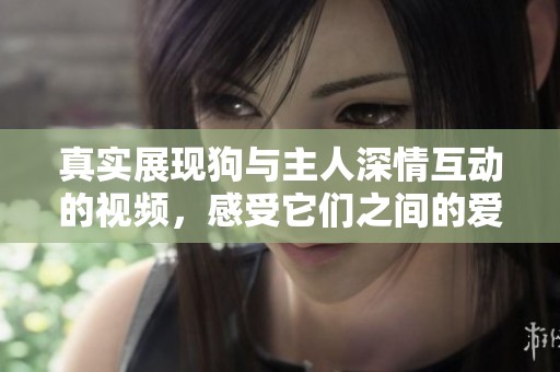 真实展现狗与主人深情互动的视频，感受它们之间的爱与默契