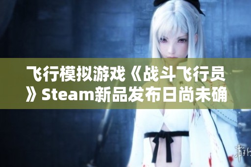 飞行模拟游戏《战斗飞行员》Steam新品发布日尚未确定