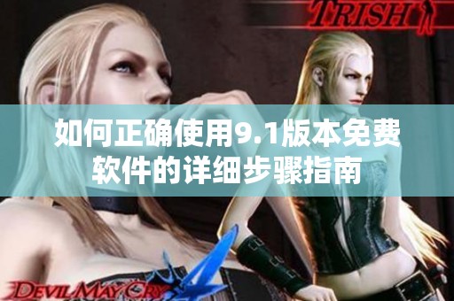 如何正确使用9.1版本免费软件的详细步骤指南