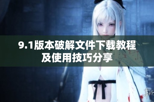 9.1版本破解文件下载教程及使用技巧分享