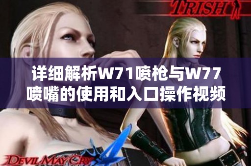 详细解析W71喷枪与W77喷嘴的使用和入口操作视频