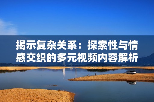 揭示复杂关系：探索性与情感交织的多元视频内容解析