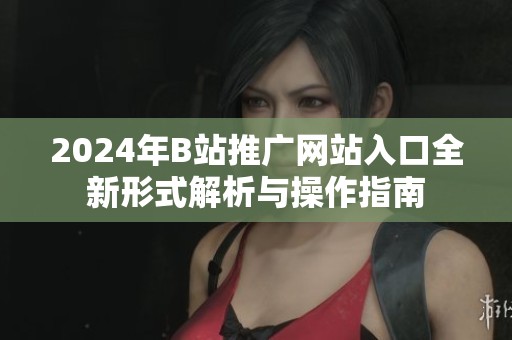 2024年B站推广网站入口全新形式解析与操作指南