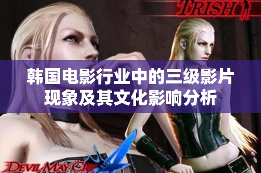 韩国电影行业中的三级影片现象及其文化影响分析