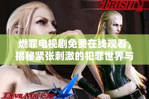 燃罪电视剧免费在线观看，揭秘紧张刺激的犯罪世界与心理博弈