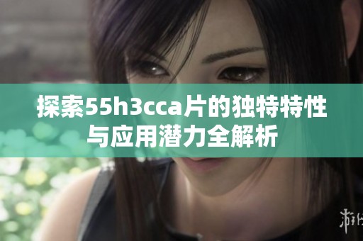 探索55h3cca片的独特特性与应用潜力全解析