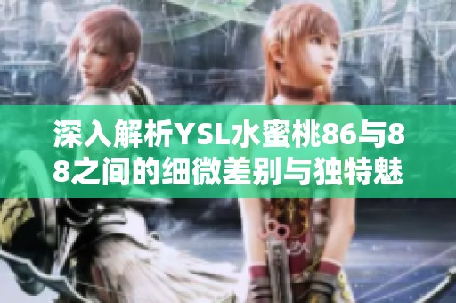 深入解析YSL水蜜桃86与88之间的细微差别与独特魅力