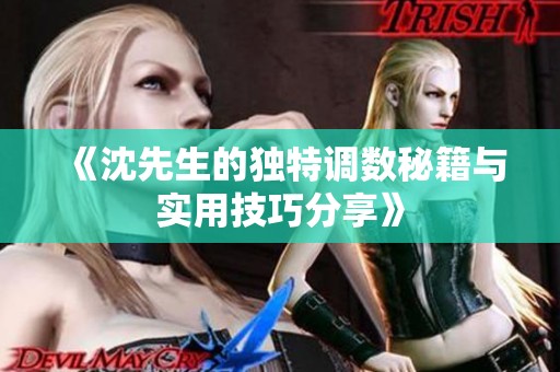 《沈先生的独特调数秘籍与实用技巧分享》